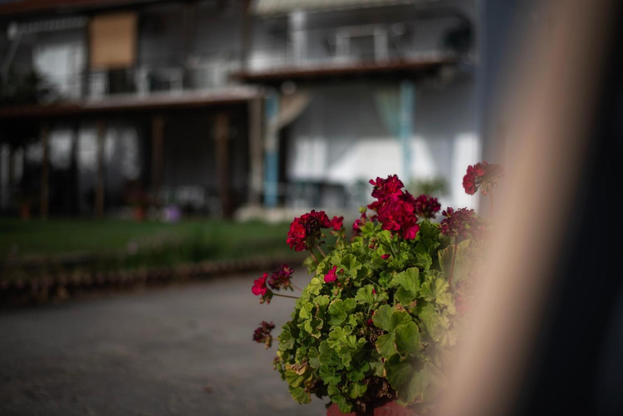 Marilena Apartments Anastasiou Velíka Kültér fotó